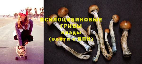 винт Арсеньев